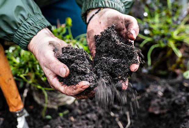 Zo creëer je een gezonde bodem vol leven in jouw tuin