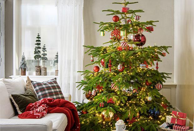 Kersttrend 2024 - Christmas Classics