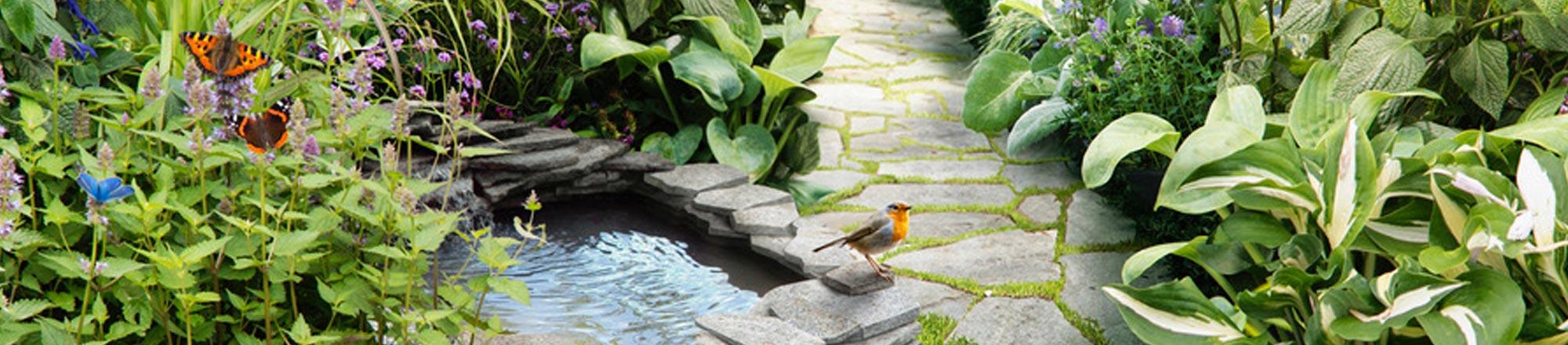 Wat is biodiversiteit?