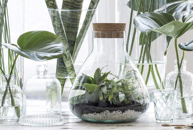 tieners Bek gebed DIY – Maak een planten terrarium: ecosysteem in glas – Intratuin