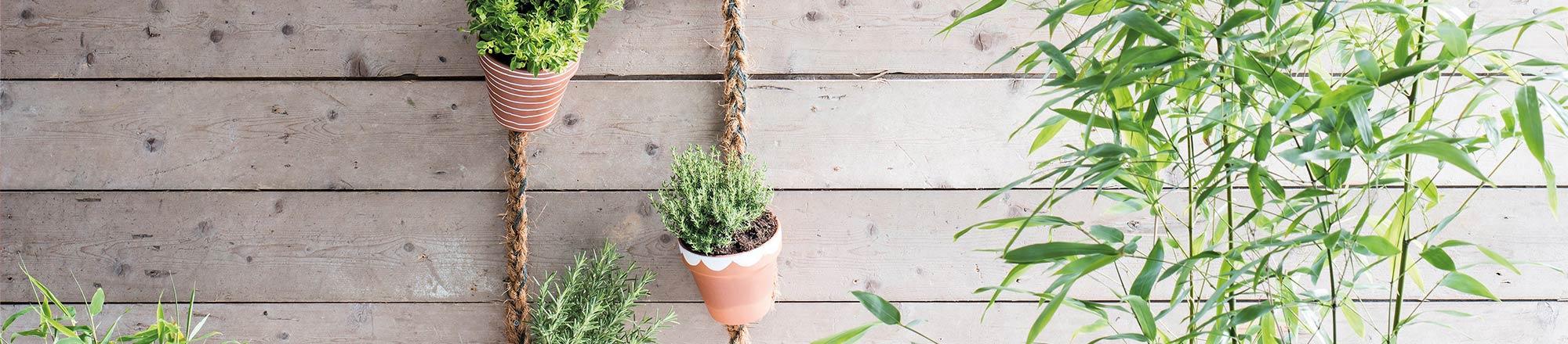 DIY: Wandhanger met kruidenplantjes