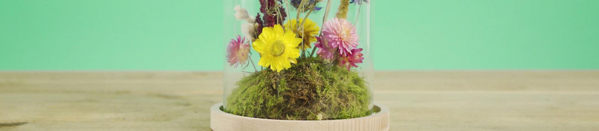 DIY: Droogbloemen onder een stolp