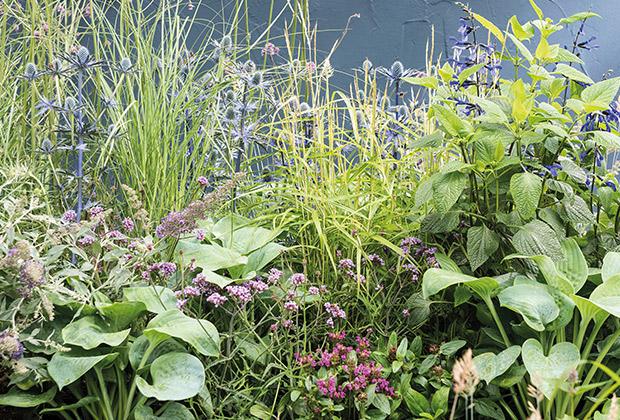 het spoor Grens stopverf Tuin border met eetbare planten aanleggen – Intratuin