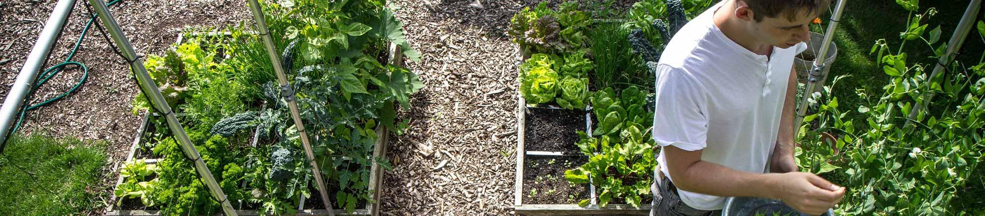 Moestuinbak maken voor de Makkelijke Moestuin