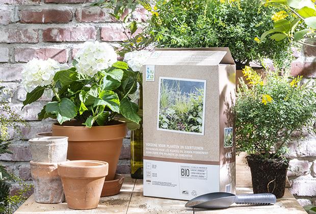 Plantenvoeding voor tuinplanten