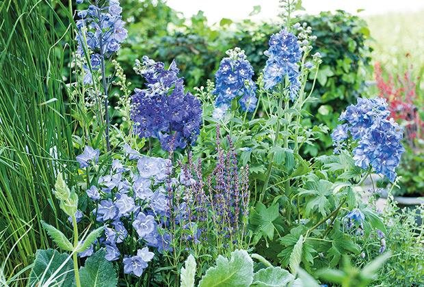 Een plukbloemen border voor boeketten uit eigen tuin