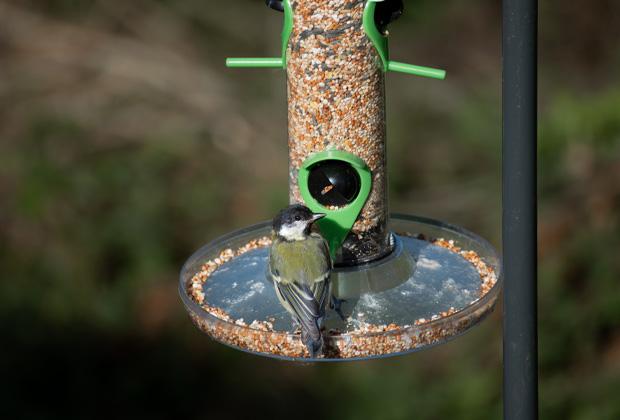 Catastrofe achter sticker Vogelhuisje of nestkastje in de tuin - Intratuin