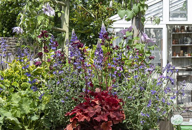 Een wintergroene border aanleggen