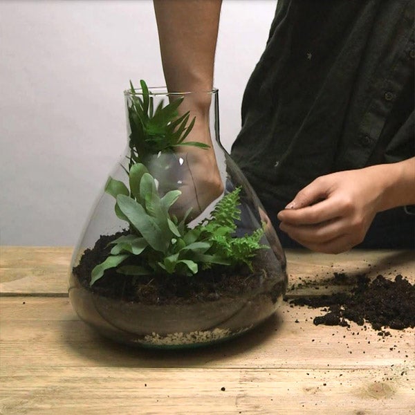 DIY planten terrarium Stap 4: Plantjes plaatsen in terrarium