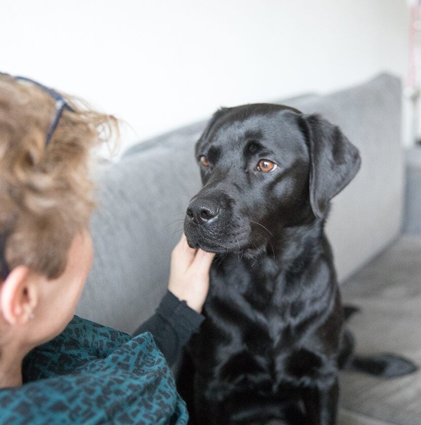 Knuffelen met de hond