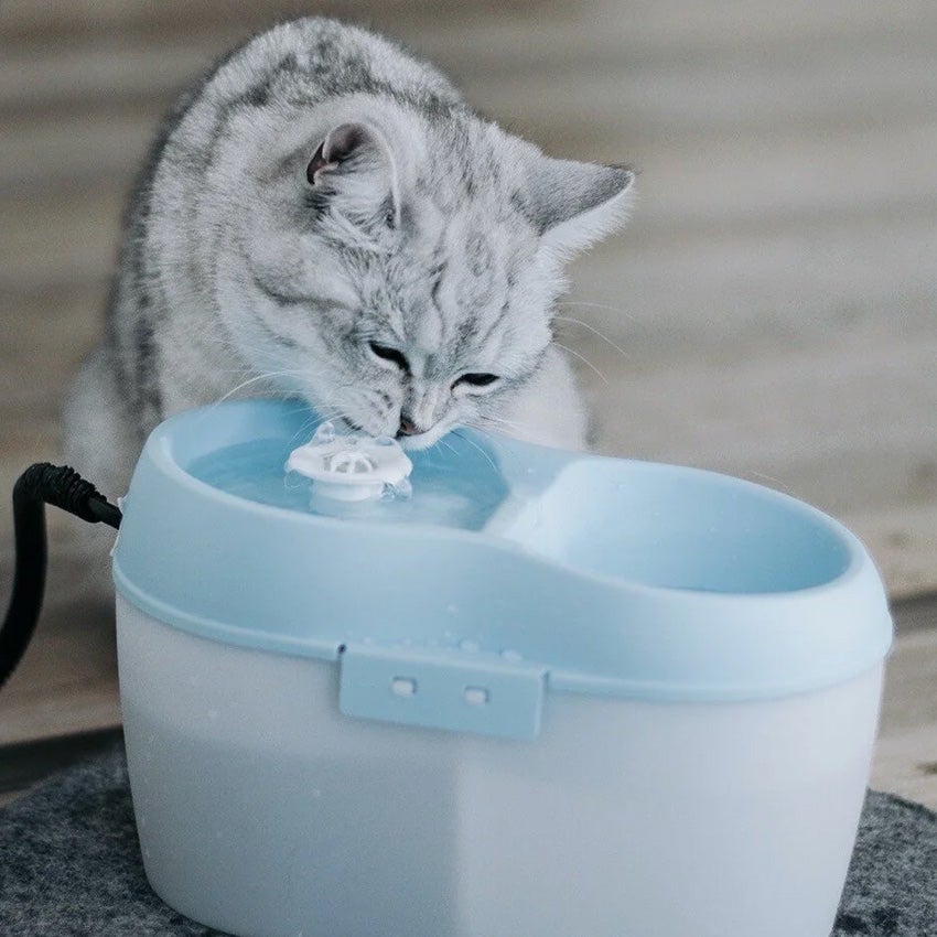 Boon katten drinkfontein CatH2O