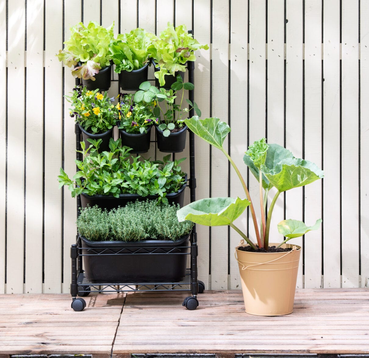 beneden Tegenover meisje Verticale tuin maken en verticaal tuinieren – Intratuin