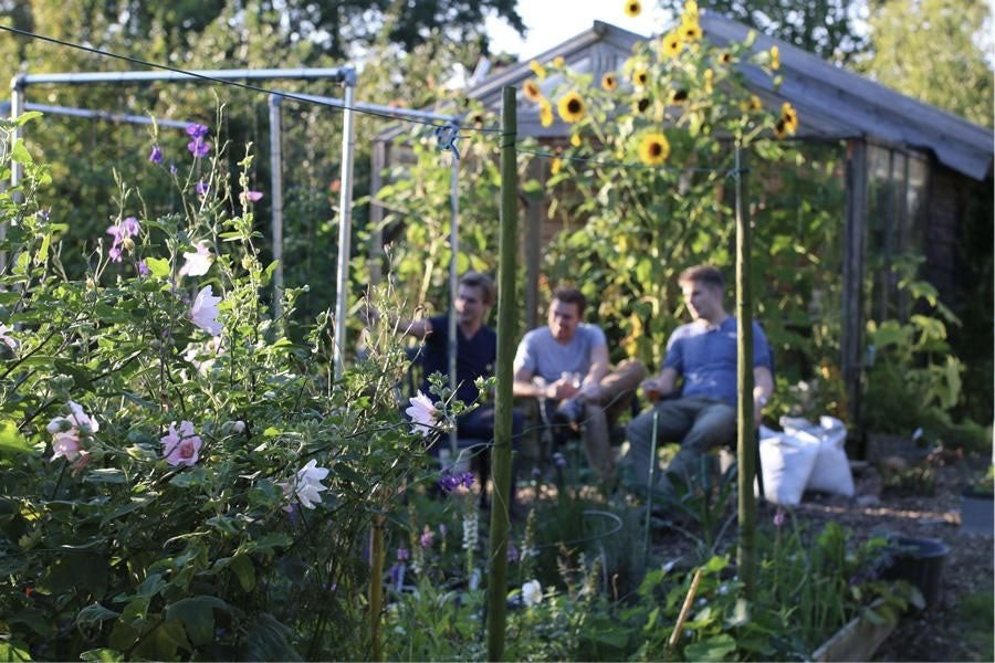 Makkelijke moestuin