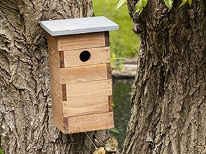 Vogelhuisjes en nestkastjes