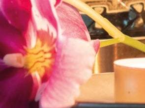 jongen Overweldigend Kliniek Huisparfum kopen? Interieurparfum: geur voor je huis | Intratuin