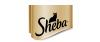 Sheba