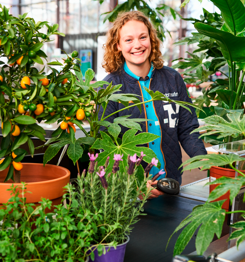 Vacatures bij Intratuin Almelo
