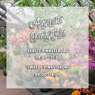 1e en 2e Pinksterdag geopend!