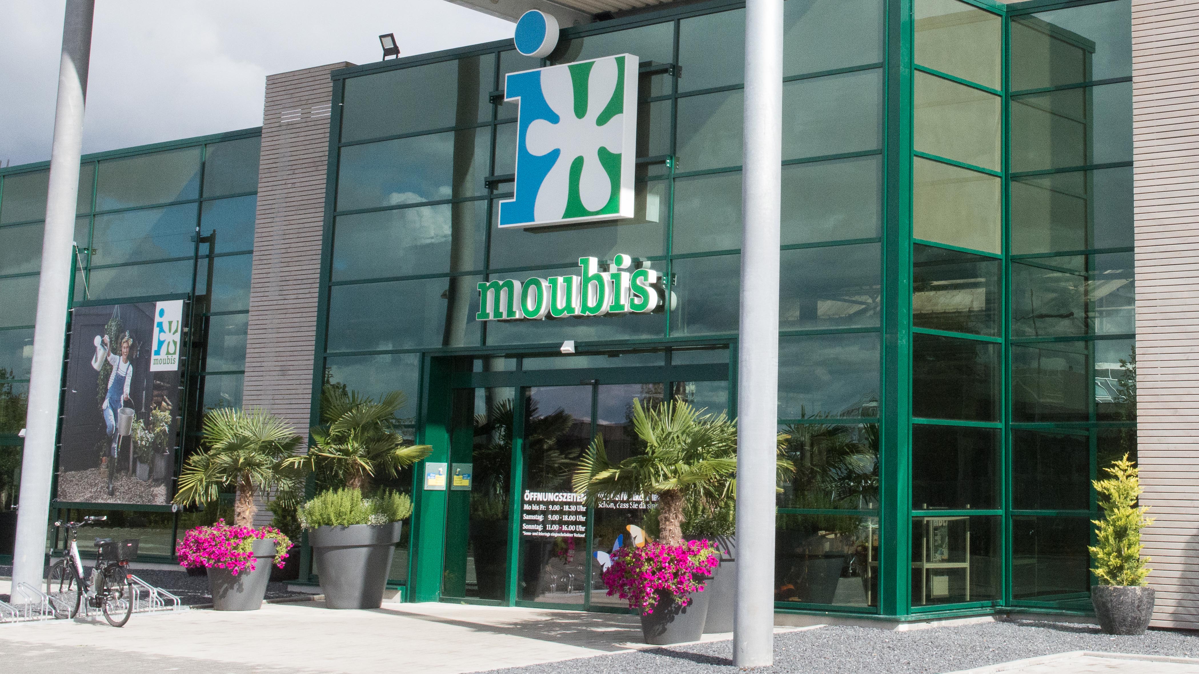 Moubis Intratuin Dülmen