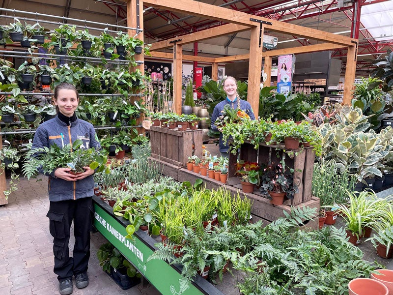 Biologische kamerplanten bij Intratuin Zoetermeer 