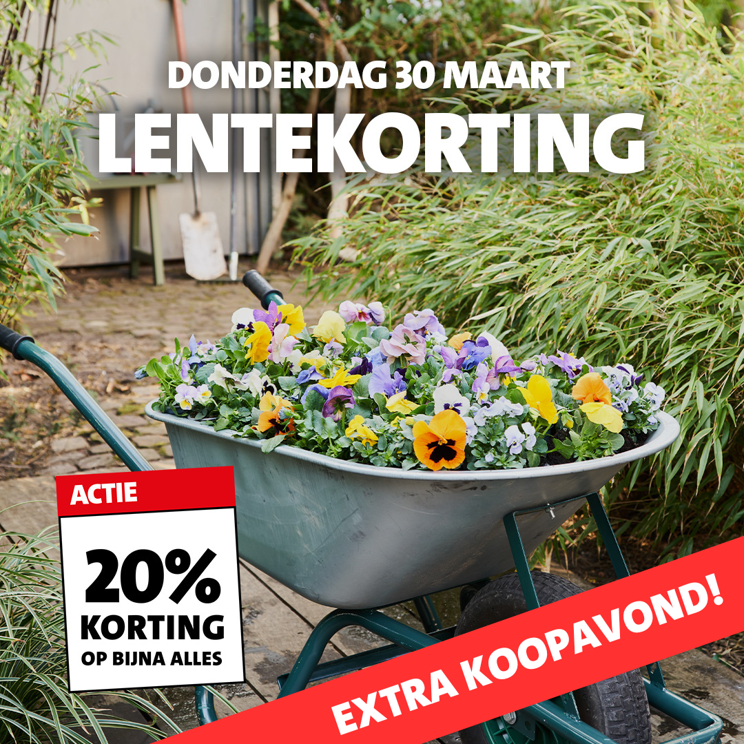 LENTEKORTINGSDAG | 20% korting op bijna alles!