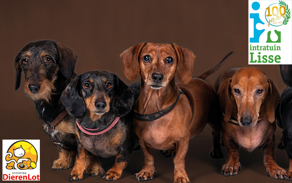 Gratis professionele fotoshoot van je huisdier!
