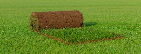 GRASZODEN makkelijk en snel bestellen 