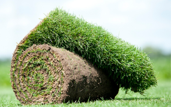Graszoden bestellen bij Intratuin Lochem 