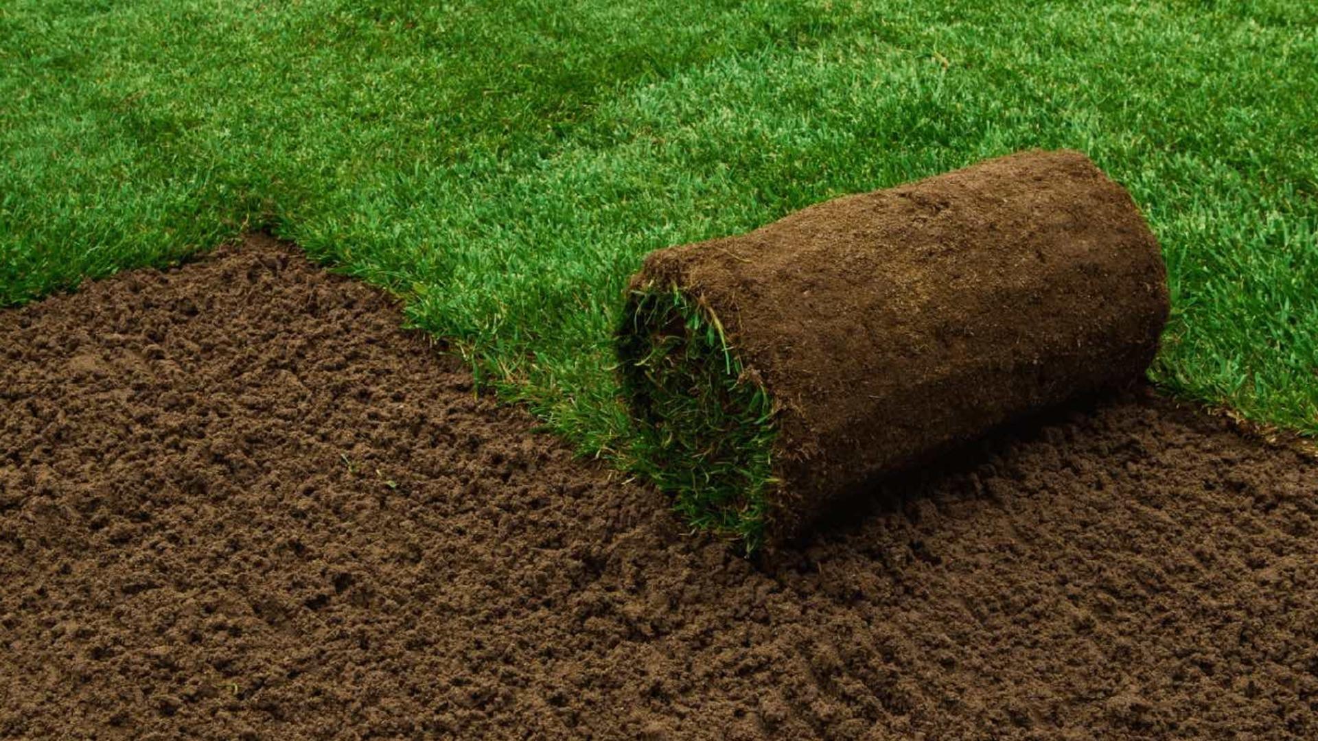 Graszoden bestellen