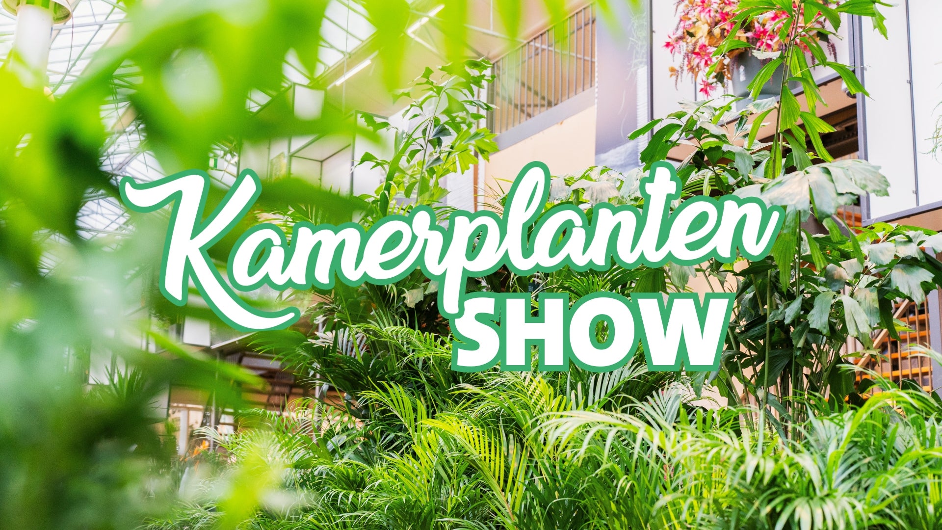 Kamerplanten show!