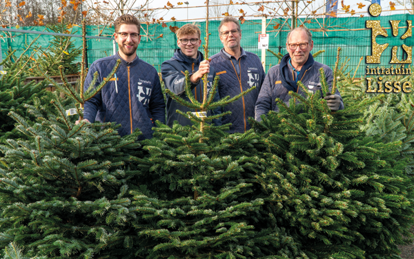 DE MOOISTE KERSTBOMEN