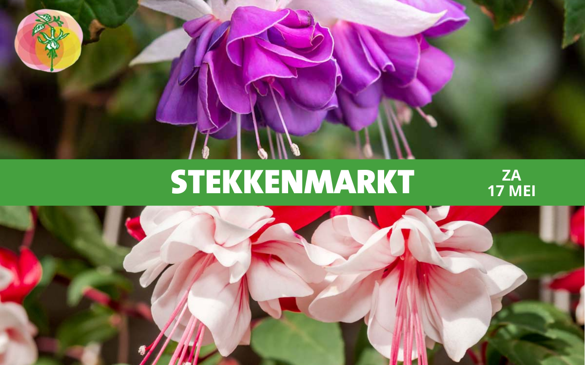 Stekkenmarkt op 17 mei