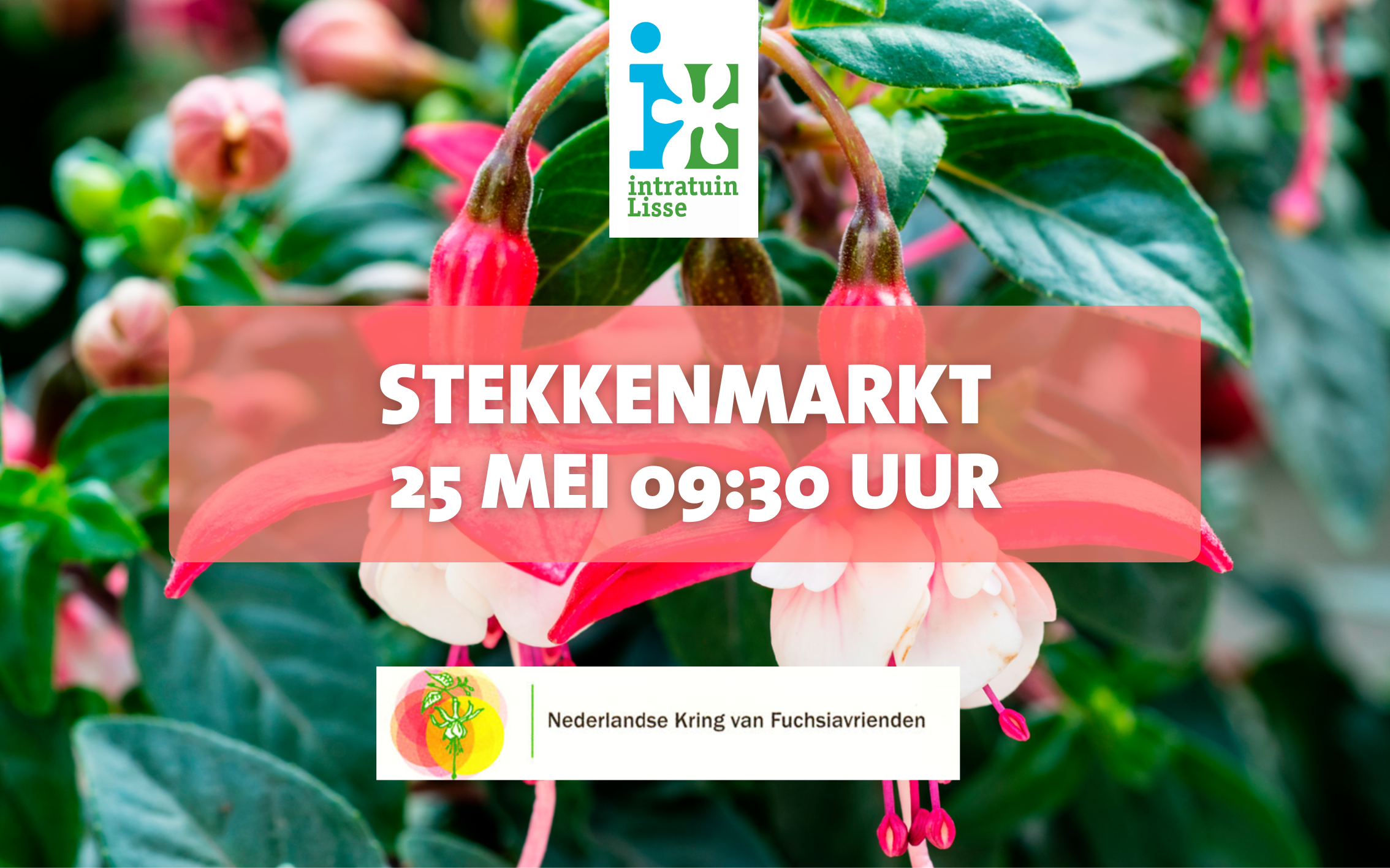 Stekkenmarkt 25 mei 