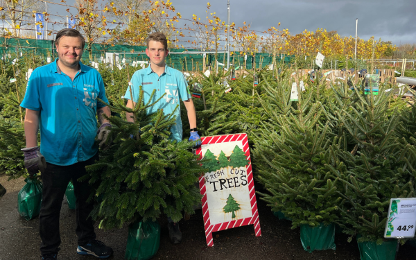 De kerstbomen zijn binnen!