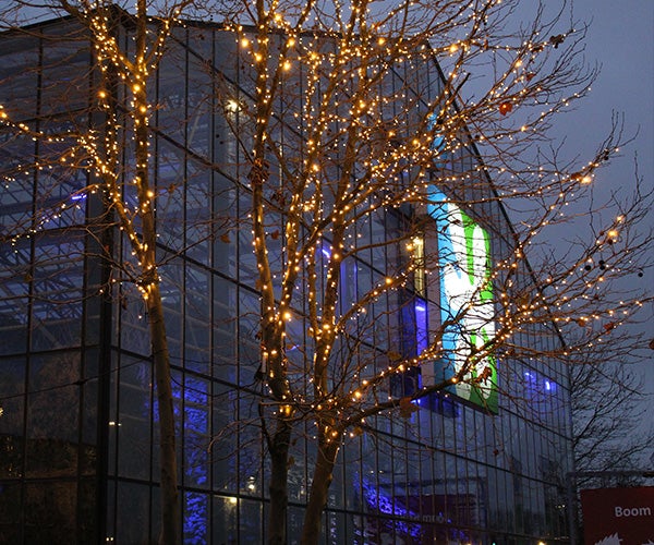 Intratuin Elst