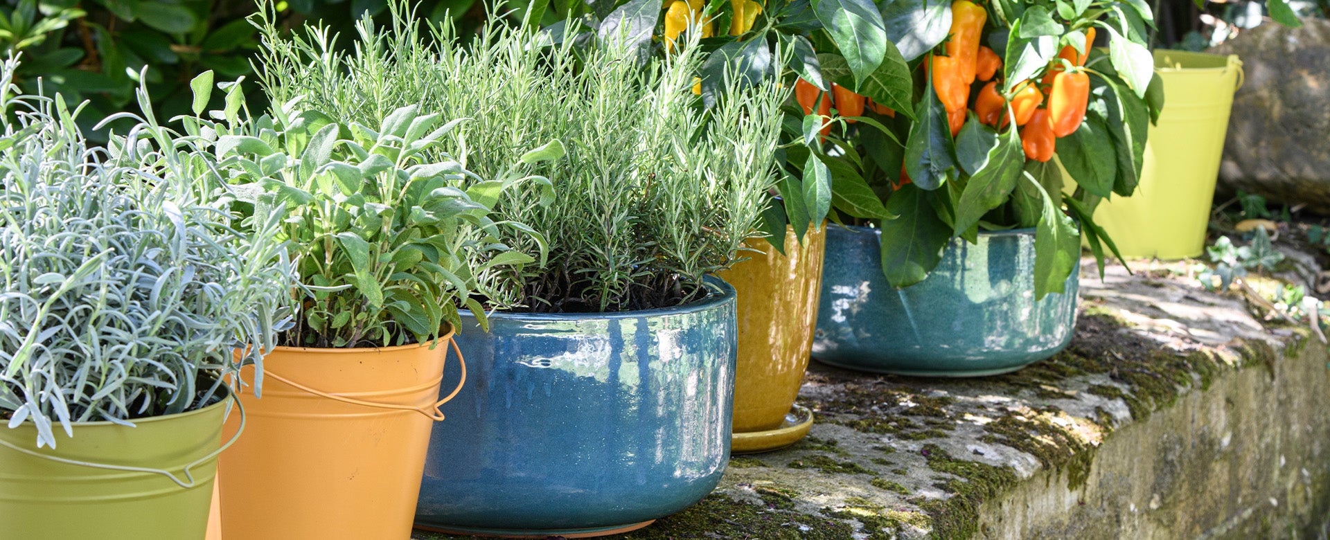 opgroeien stewardess Geschatte Plantenpotten kopen? Potten, binnen & buiten | Intratuin