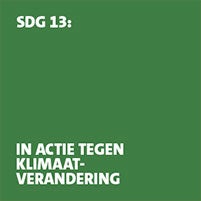 SDG 13