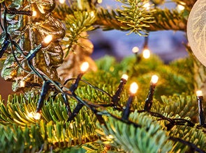 Kerstverlichting kopen? | Intratuin