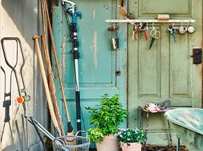 Shop plantverzorging