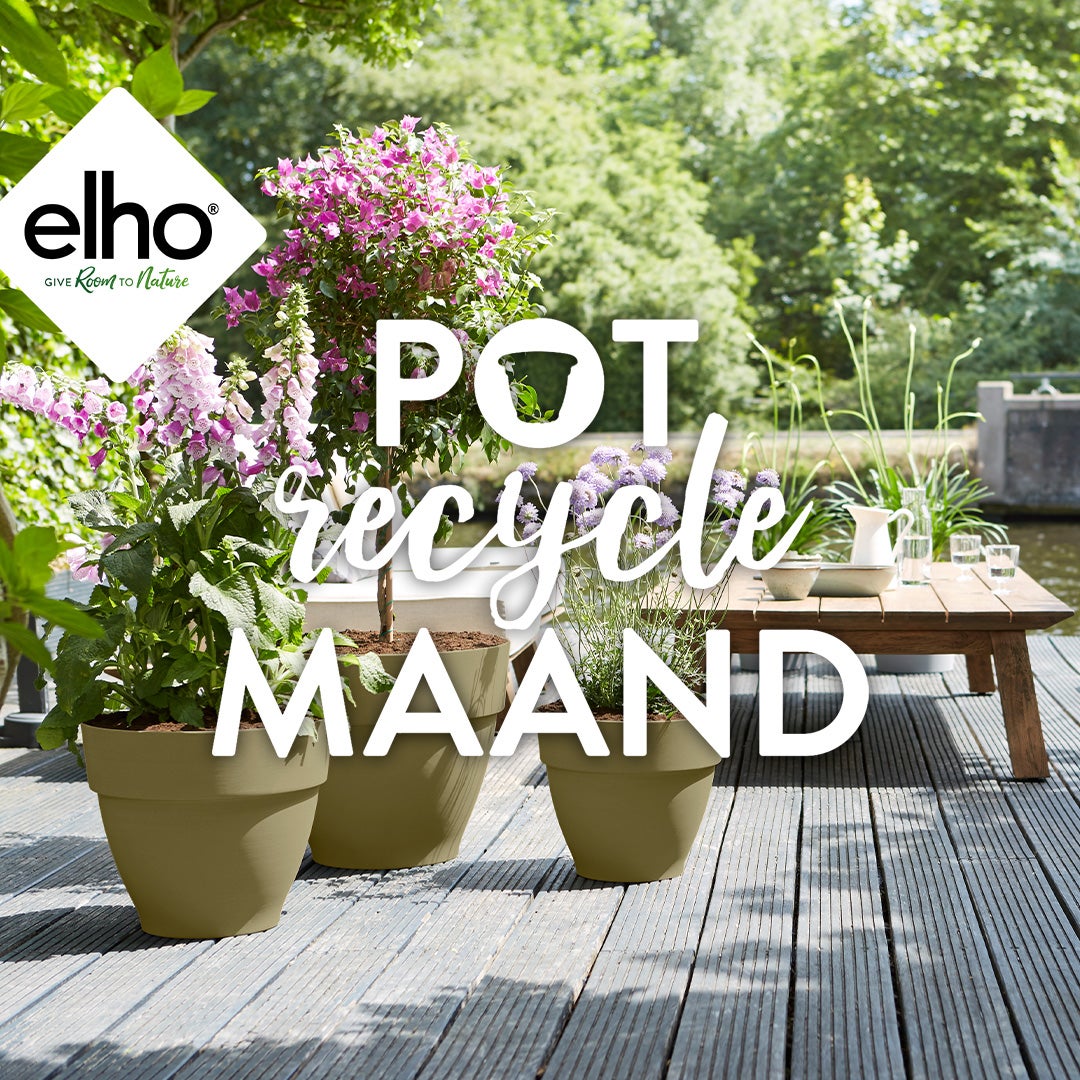 Berri Hoes dichtbij elho Pot Recycle Maand | Intratuin