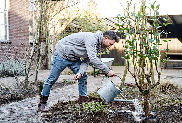 Najaar het vergeten tuinseizoen