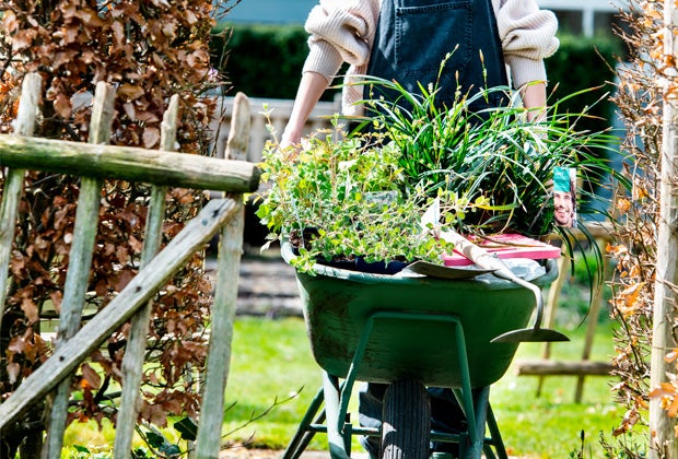 Tuinkalender april