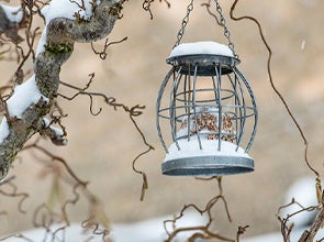 verdamping schoenen andere Tuinvogels helpen? Vogels in de tuin: voer & behuizing | Intratuin