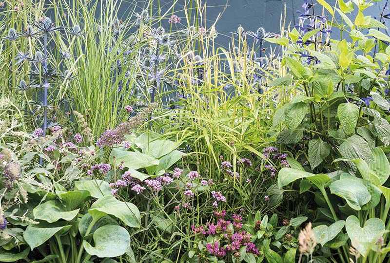 Insectenborder 