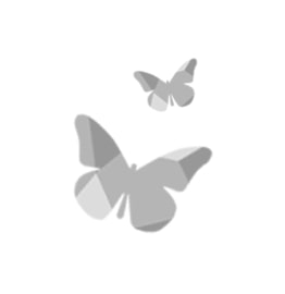 Zonnehoed-(Echinacea-purpurea-&#039;Mooodz-Sympathy&#039;)-D-17-H-40-cm